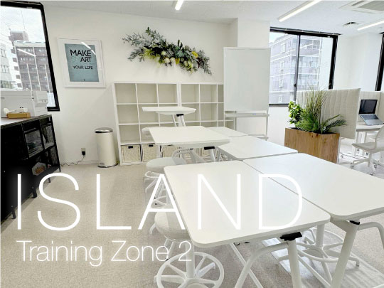 アイランドゾーン